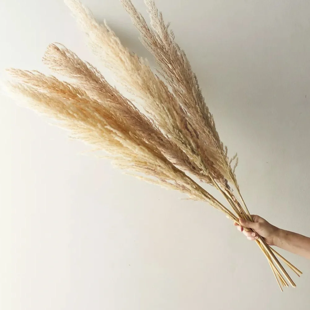 Anthropologie dried pampas grass bunch 47.5” length lot large - Picture 1 of 2